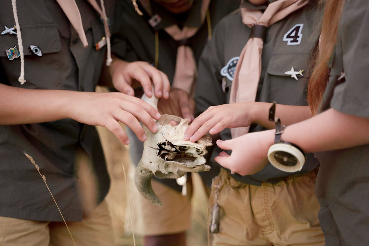 services-02 Children in scout uniforms examine an animal skull during an outdoor adventure.